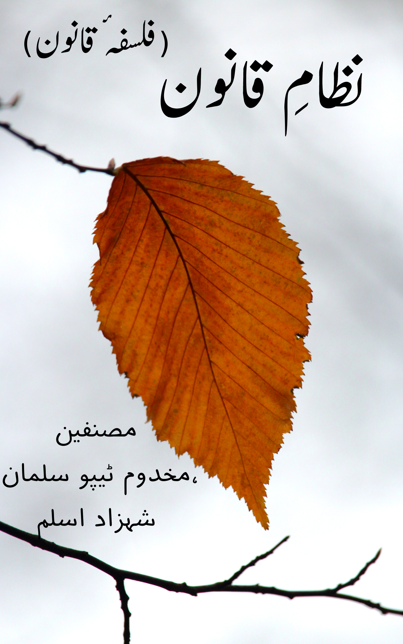 فلسفہ ٔ قانون